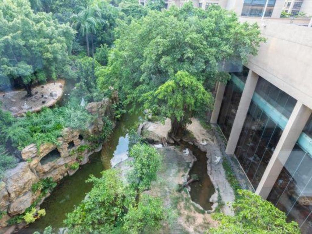 Chimelong Hotel Гуанчжоу Экстерьер фото